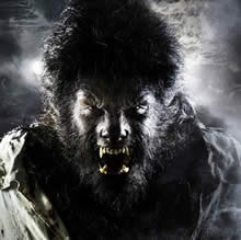 Wolfman010