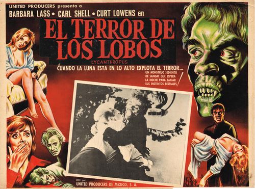 El Terror De Los Lobos Mexican Lobby Card