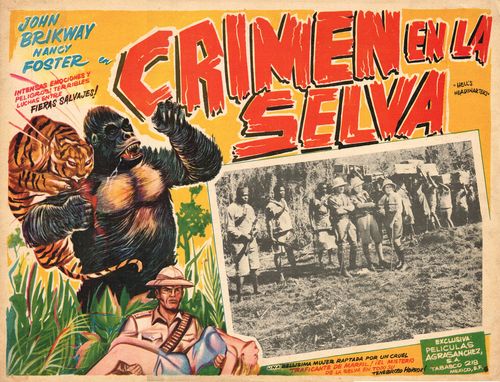 mexican lobby card crimen en la selva