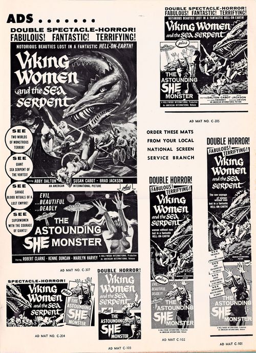 Viking women pressbook3