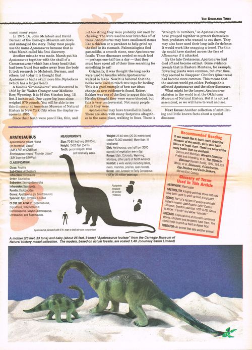 Dinosaur-times-31